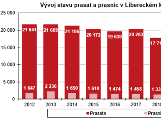 Výsledky chovu prasat v Libereckém kraji k 31. 12. 2021