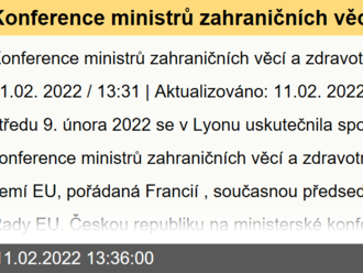 Konference ministrů zahraničních věcí a zdravotnictví v Lyonu