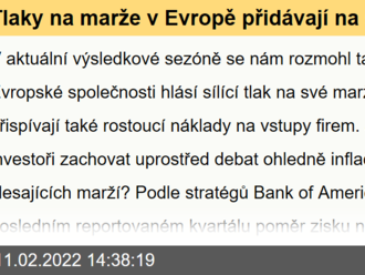 Tlaky na marže v Evropě přidávají na síle, podporují je rostoucí náklady. Jaký sektor zvolit v době vysokých inflační tlaků?