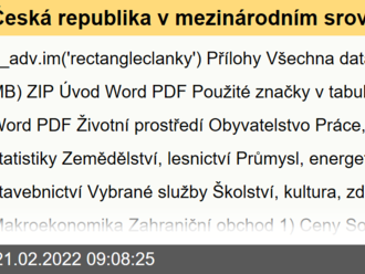 Česká republika v mezinárodním srovnání   - 2021