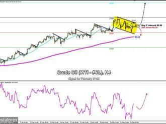 Obchodní signály pro ropu   na 21.–22. února 2022: nakupujte nad úrovní 90,00 USD  