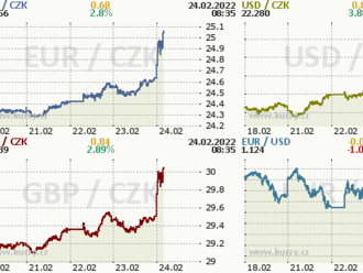 Koruna až na hranici 24,60 EUR/CZK