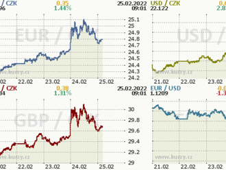 Koruna se vrátila pod 25,00 EUR/CZK