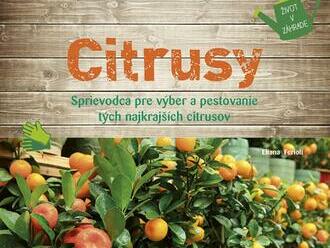 Citrusy