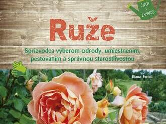 Ruže