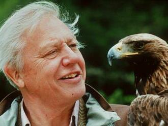 Lenochod zpanikařil. David Attenborough v knize vzpomíná na své první výpravy