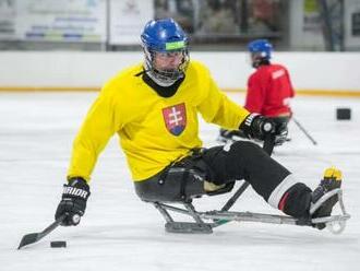 Slovenskí parahokejisti sa už v Číne aklimatizovali, pri svojej premiére na paralympiáde nepredajú kožu lacno