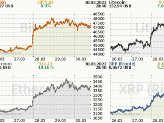 Kryptoměny vs. akcie - do čeho investovat?