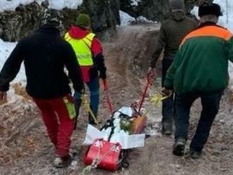 Na lesného robotníka   nešťastne spadol strom: Záchranári už nevedeli pomôcť