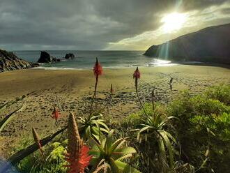 Madeira: Havaj Atlantiku