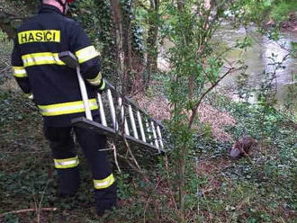 Jednotka HZS ve spolupráci s městskou policií v Hodoníně pomáhala při záchraně z hloubky, v asi…