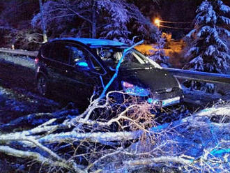 Těžký sníh lámal a vyvracel stromy v Karlovarském kraji, hasiči zasahovali více než padesátkrát