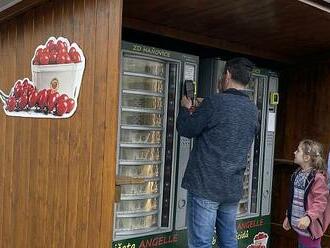 Sladkost i příjemná cena. O hanácká rajčata z automatu je obrovský zájem