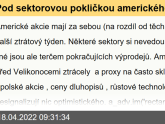 Pod sektorovou pokličkou amerického akciového trhu