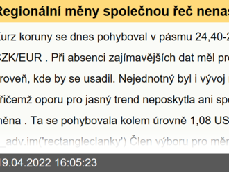 Regionální měny společnou řeč nenašly