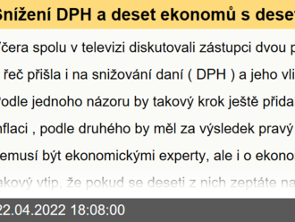 Snížení DPH a deset ekonomů s deseti různými odpověďmi