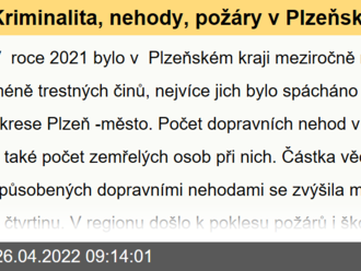 Kriminalita, nehody, požáry v Plzeňském kraji v roce 2021