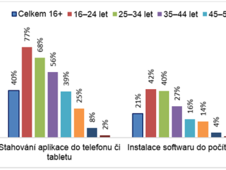 Digitální dovednosti v Česku v roce 2021