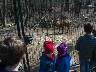 Získala americký pas. Poslanci chcú šéfke bratislavskej zoo siahnuť na plat