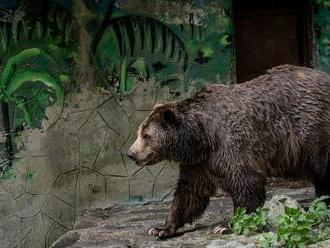 Bratislavská ZOO zaháji letnú sezónu už túto sobotu