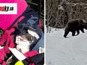 V Nízkych Tatrách zaútočil na ľudí MEDVEĎ: Naháňal ich, dotrhal veci! FOTO Prehovorila napadnutá turistka