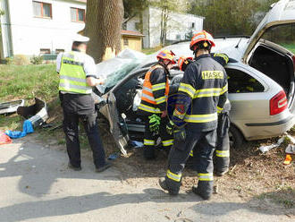 Dvě zraněné osoby museli hasiči vyprostit z vraku vozu po nárazu do stromu v obci Jedovnice