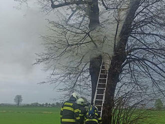 Po úderu blesku měl začít hořet strom u silnice mezi obcí Jílovice a Českým Meziříčí. Část stromu…