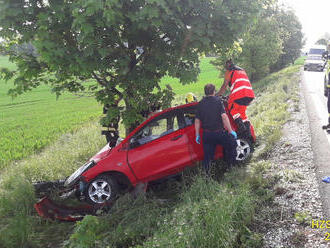 Mezi Střelskými Hošticemi a Horažďovicemi havarovalo osobní vozidlo do stromu. Jednu osobu hasiči…