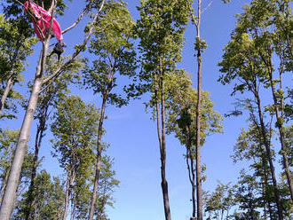 Při cvičení v lesích obcí Krhová a Zašová na Vsetínsku pátrali členové složek IZS po paraglidistovi