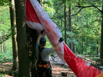 Dvě jednotky hasičů byly povolány k záchraně paraglidistky uvízlé na stromě u obce Krupka. Lezecká…