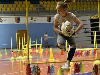 OBRAZEM: Přes překážky s umělým koněm. Hobby horsing ovládl halu v Prostějově