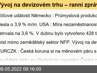 Vývoj na devizovém trhu – ranní zprávy 09.05.2022