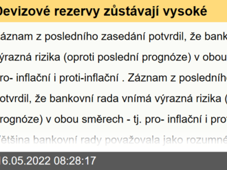 Devizové rezervy zůstávají vysoké