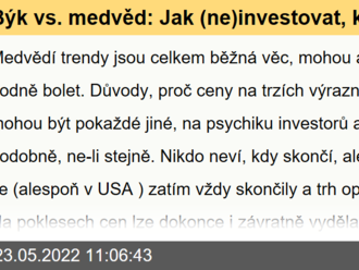 Býk vs. medvěd: Jak  investovat, když z trhu chodí   samé špatné zprávy?