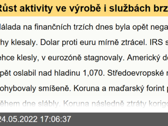 Růst aktivity ve výrobě i službách brzdí  