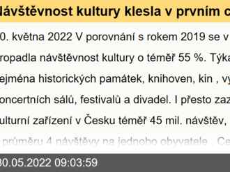 Návštěvnost kultury klesla v prvním covidovém roce o 55 %