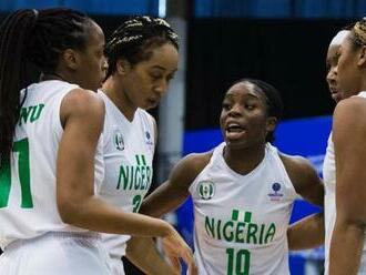 Government's withdrawal of Nigeria from global basketball is 'heart-wrenching'