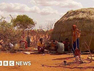 Drought's devastating toll on Somalia's children