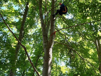 Pomocí lezeckých technik hasiči zachránili paraglidistu, který neplánovaně zůstal viset na stromě…