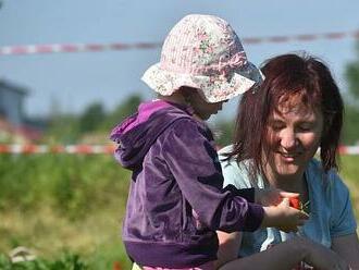 OBRAZEM: Samosběr jahod přilákal na pole u Hradce stovky lidí