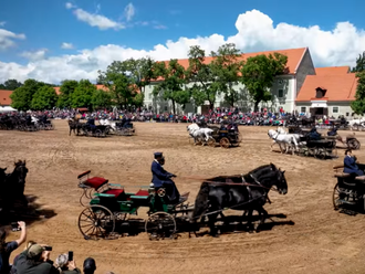 VIDEO: Rekordní počet koní ve dvojspřeží připomněl kulatiny Národního hřebčína