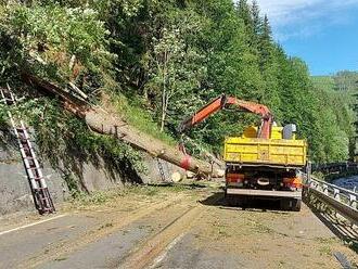 Tragédie v Krkonoších. Na projíždějící auto spadl strom, zemřeli tři lidé