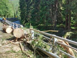 V Krkonošiach spadol na auto strom, traja ľudia neprežili  