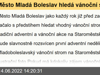 Město Mladá Boleslav hledá vánoční strom pro letošní advent