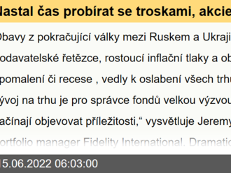 Nastal čas probírat se troskami, akcie po akcii, říká Fidelity International