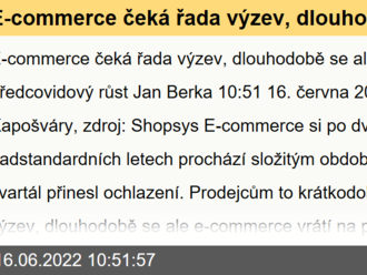 E-commerce čeká řada výzev, dlouhodobě se ale vrátí na předcovidový růst