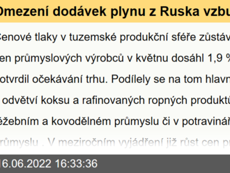 Omezení dodávek plynu z Ruska vzbuzuje obavy  