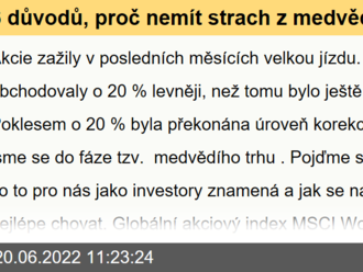 6 důvodů, proč nemít strach z medvědího trhu