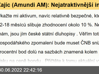 Zajíc  : Nejatraktivnější investice na příštích 12 měsíců? Překvapím vás!