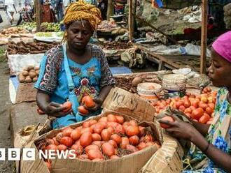 Fertiliser shortage hits African farmers battling food crisis